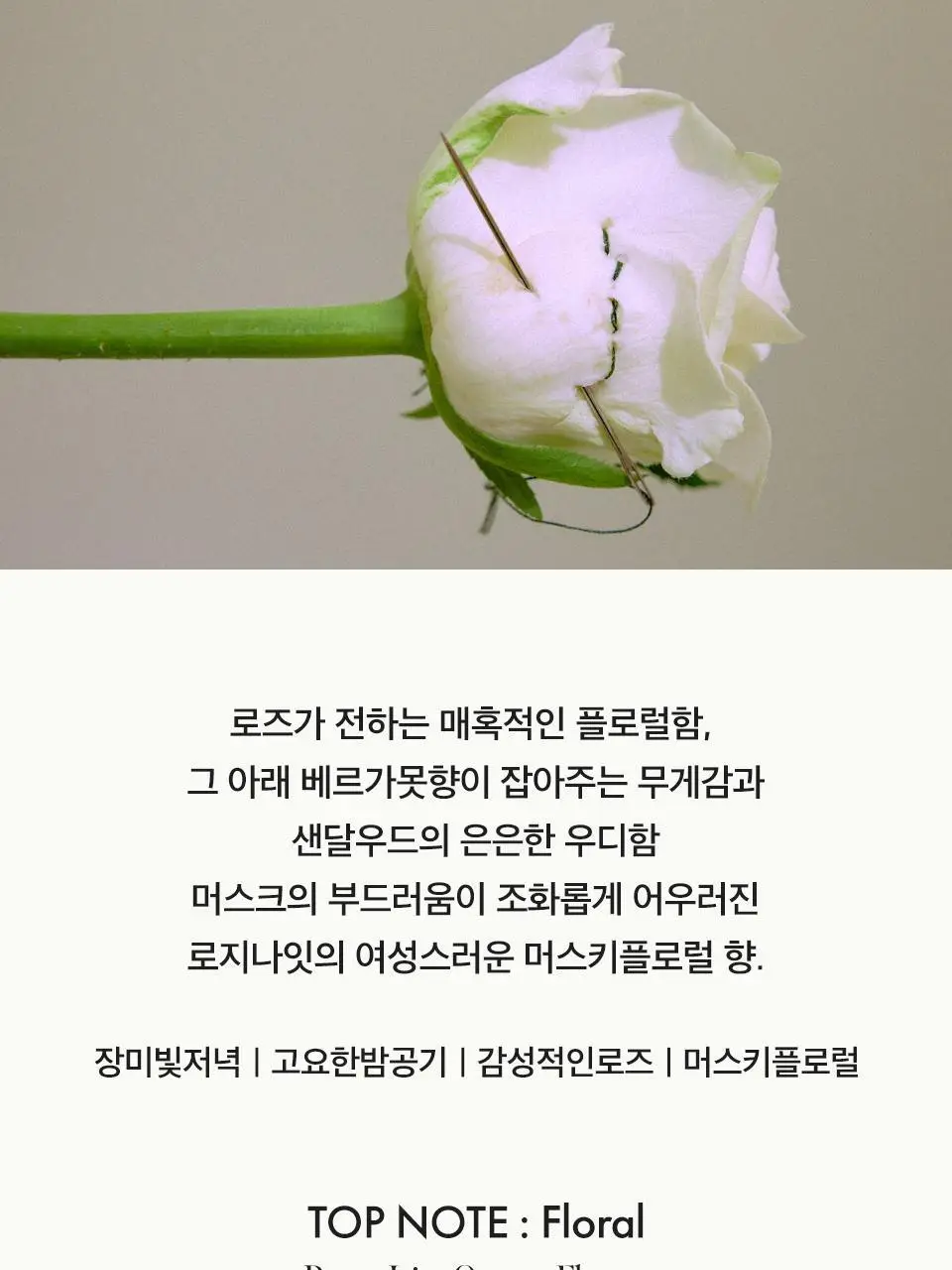 [Gift] 아닐로 오 드 퍼퓸 50ml 8종 택1 상세페이지 17